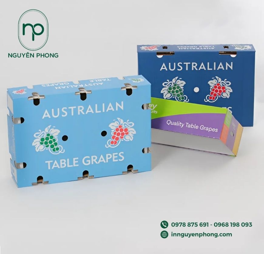 mau-thung-carton-dung-nho-co-lo-thoang-khi